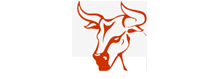 BULL FUND SICAV